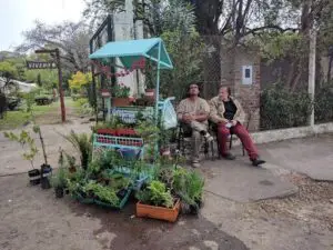 Two men sit on a bench next to a small blue stand with potted plants.