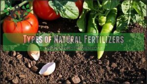 types of natural fertilizers