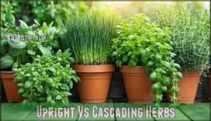 upright vs cascading herbs