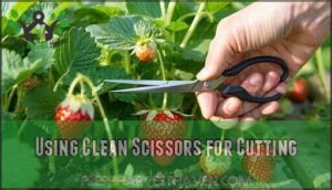 using clean scissors for cutting