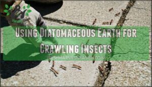 using diatomaceous earth for crawling insects