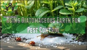 using diatomaceous earth for pest control