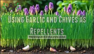 using garlic and chives as repellents