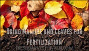 using manure and leaves for fertilization