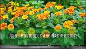 using marigolds and nasturtiums