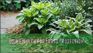 using mulch for frost protection
