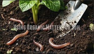 using organic matter for soil