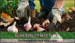 using quality seed garlic