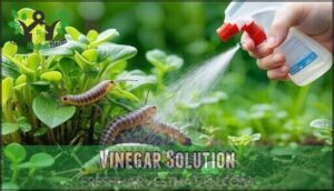 vinegar solution