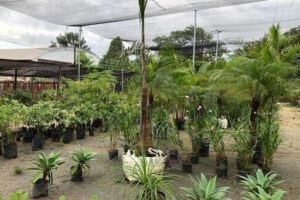 Viveiro Luso Garden Center, Paisagismo e Irrigação