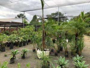 Viveiro Luso Garden Center, Paisagismo e Irrigação