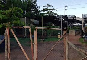 Viveiro Municipal de Mudas de Vila Velha