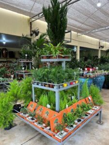 Viveiros e Floricultura e Grameira Queiroz