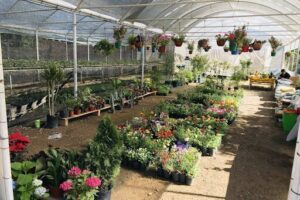 Vivero Don Oscar