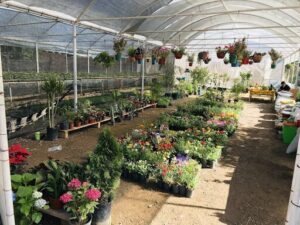 Vivero Don Oscar