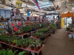 Vivero El Parque "M"