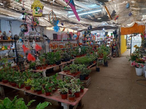 Vivero El Parque "M"