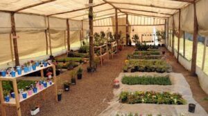 Vivero Inclusivo Sembrando Sueños