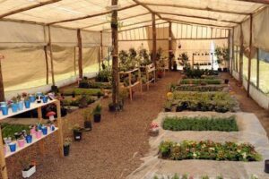 Vivero Inclusivo Sembrando Sueños