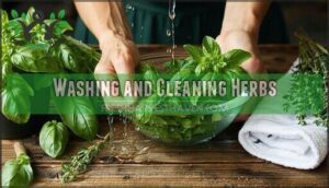 washing and cleaning herbs