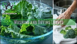 washing and drying leaves