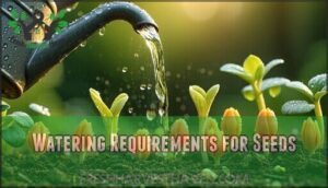 watering requirements for seeds