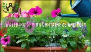 watering spring containers and pots