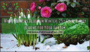 what flowers bloom in winter