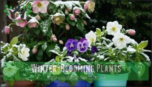 winter-blooming plants