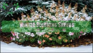 winter blooming shrubs