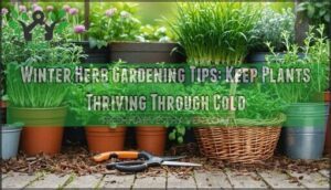 winter herb gardening tips
