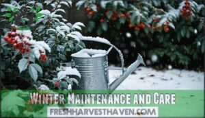 winter maintenance and care