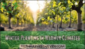 winter planting in warmer climates