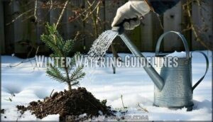 winter watering guidelines
