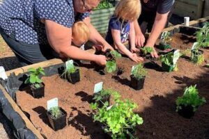 Woodville West Community Garden
