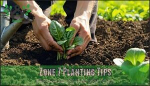 zone 7 planting tips