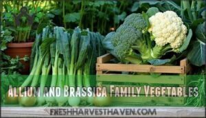allium and brassica family vegetables