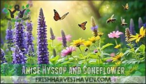 anise hyssop and coneflower