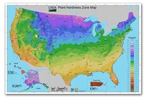 Antiguos Maps USA Plant Hardiness B00XJML51O