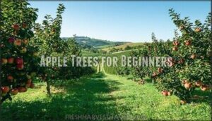 apple trees for beginners