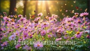 asters and chrysanthemums
