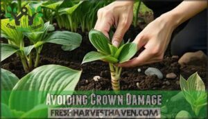 avoiding crown damage