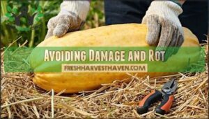 avoiding damage and rot
