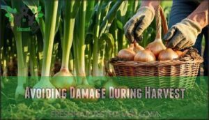 avoiding damage during harvest