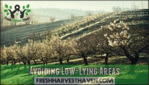 avoiding low-lying areas