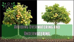 avoiding overwatering and underwatering