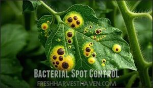 bacterial spot control