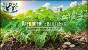 balanced fertilizers