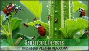 beneficial insects