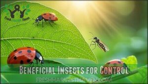 beneficial insects for control